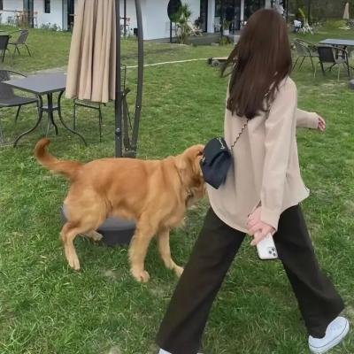 惊爆时刻